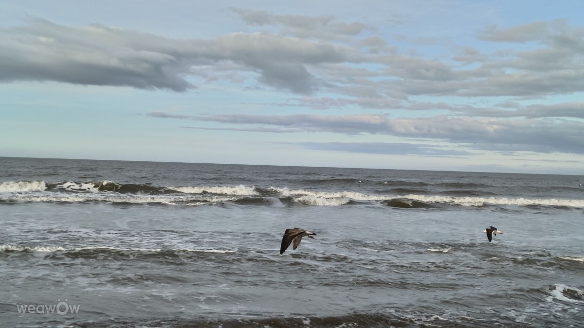 Fotos sobre el clima en Buenos Aires. Pronósticos del tiempo con hermosas fotos de Macandall