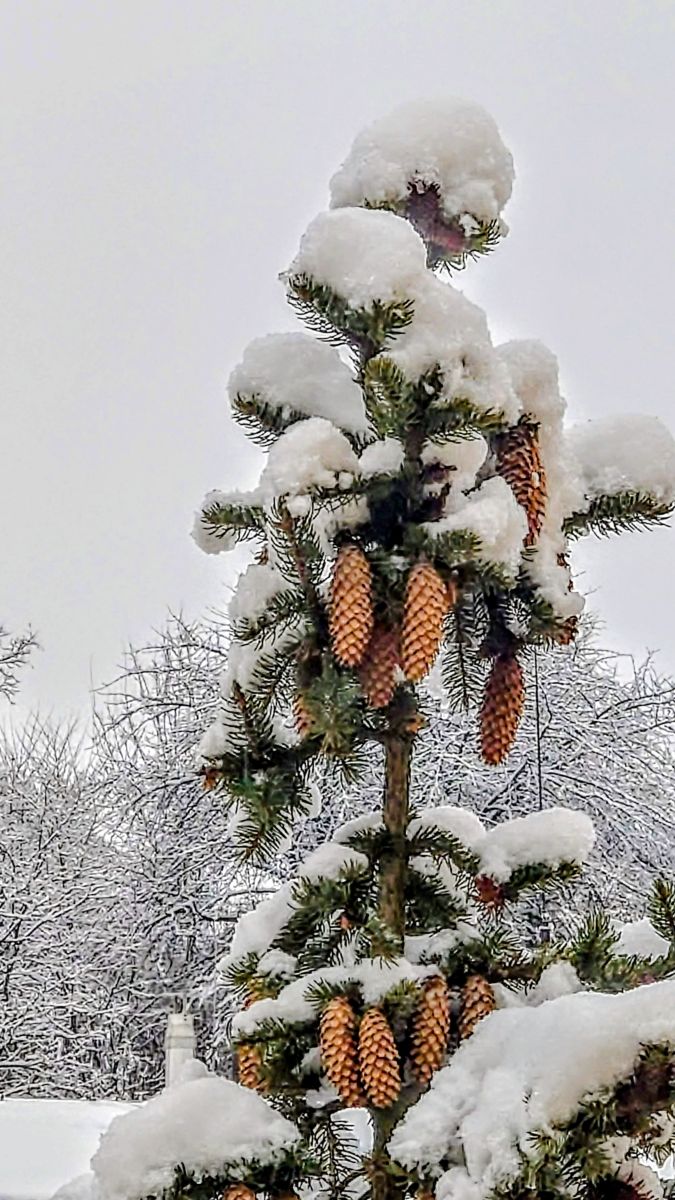 Фотографии Погоды в Lipany. Прогнозы погоды с чудесными фотографиями, сделанными erik76b