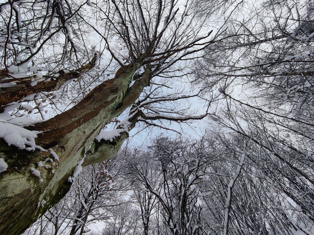 Weather Photos in Transcarpathia. Weather forecasts with beautiful photos by Hillfather