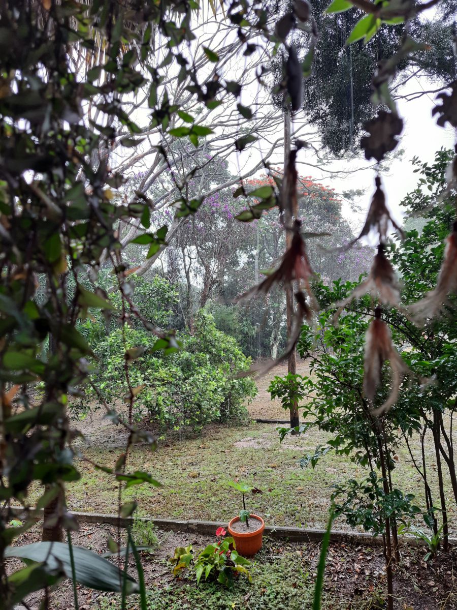 Wetter Photos São Carlos. Wettervorhersagen mit schönen Fotos von Gioconda Gi
