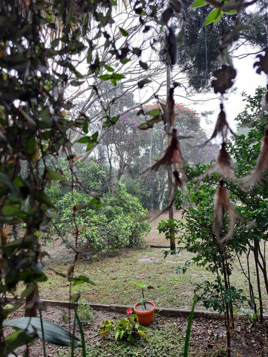 Foto meteo a São Carlos. Previsioni del tempo con incredibili foto di Gioconda Gi