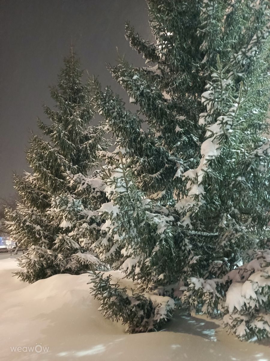 Weather Photos in Kurgan. Weather forecasts with beautiful photos by ElenaMak