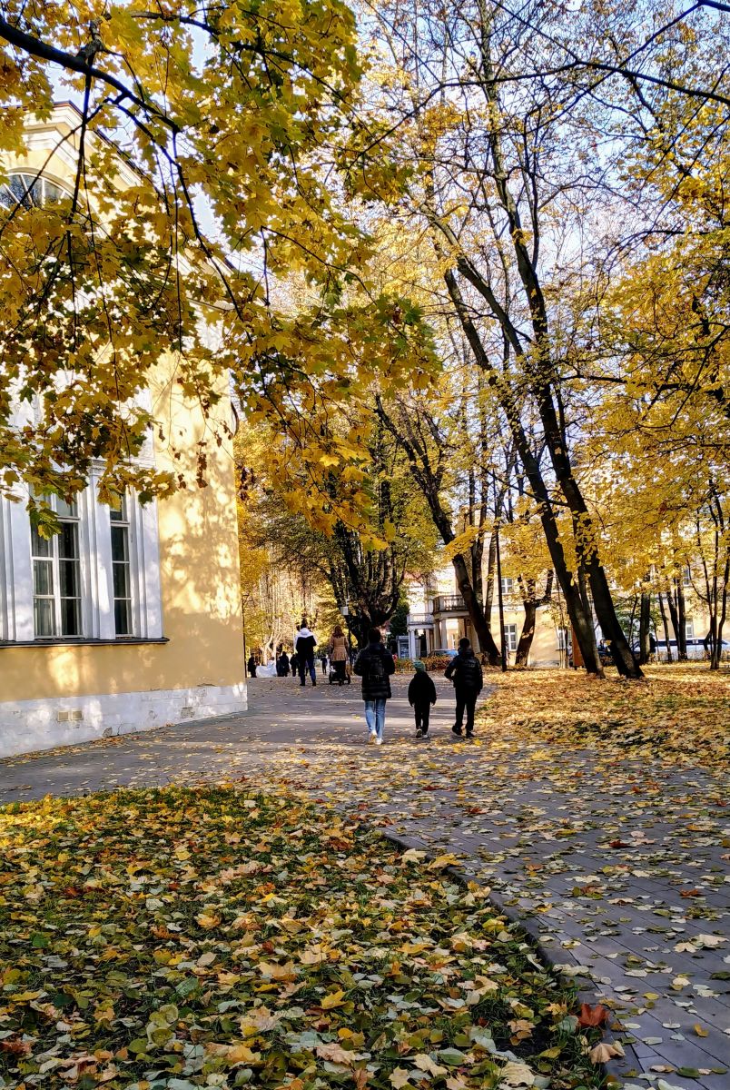 19Lora46の美しい写真による天気予報