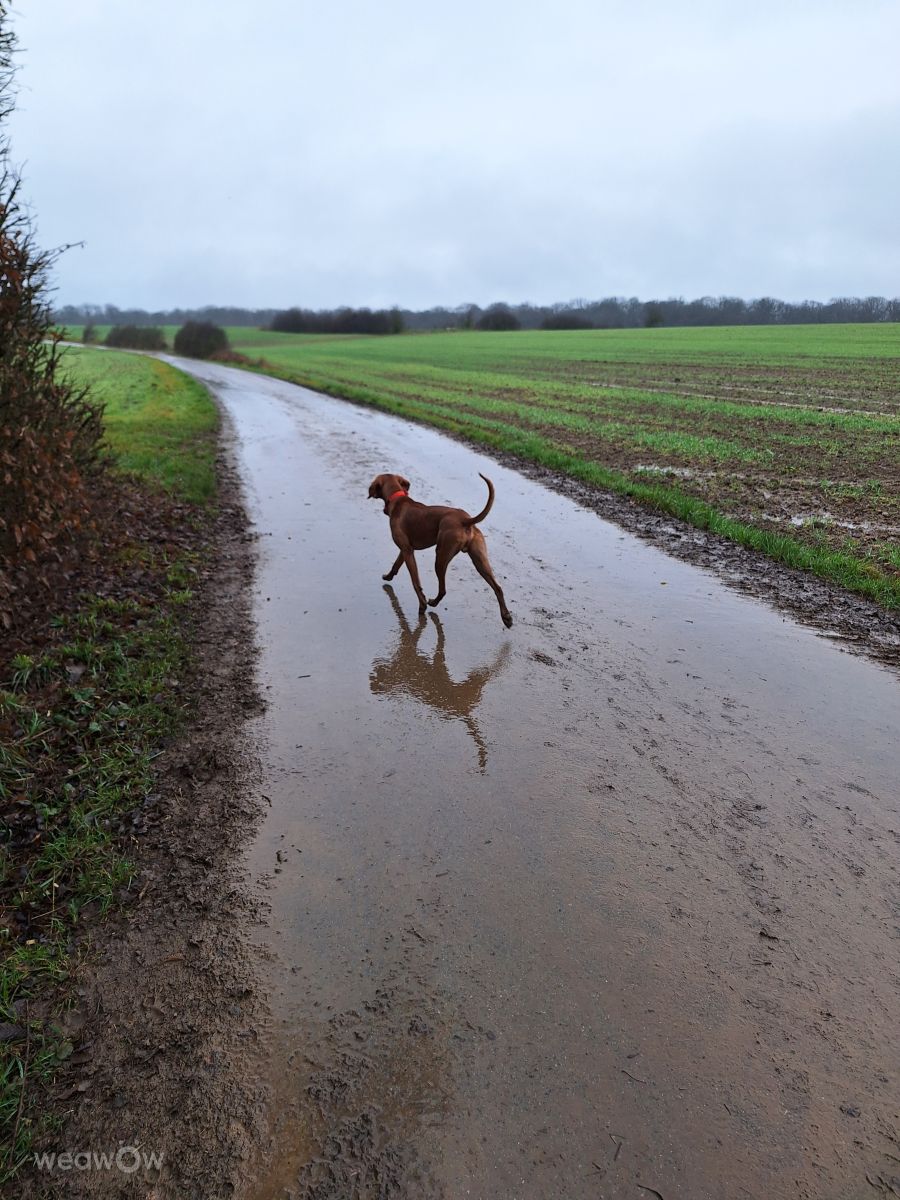 Weather forecasts with beautiful photos by lremmy