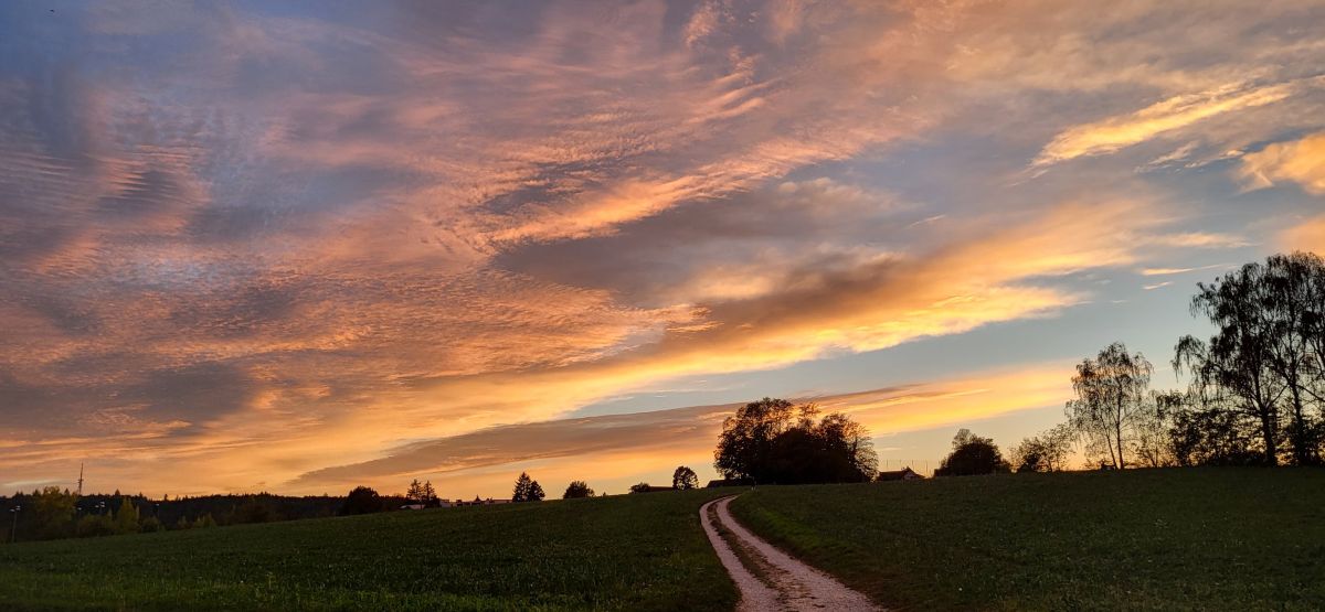Weather Photos in Schaffhausen. Weather forecasts with beautiful photos by aida-khaldi