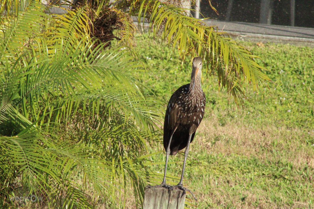 Weather Photos in Florida. Weather forecasts with beautiful photos by MzCoopDzl