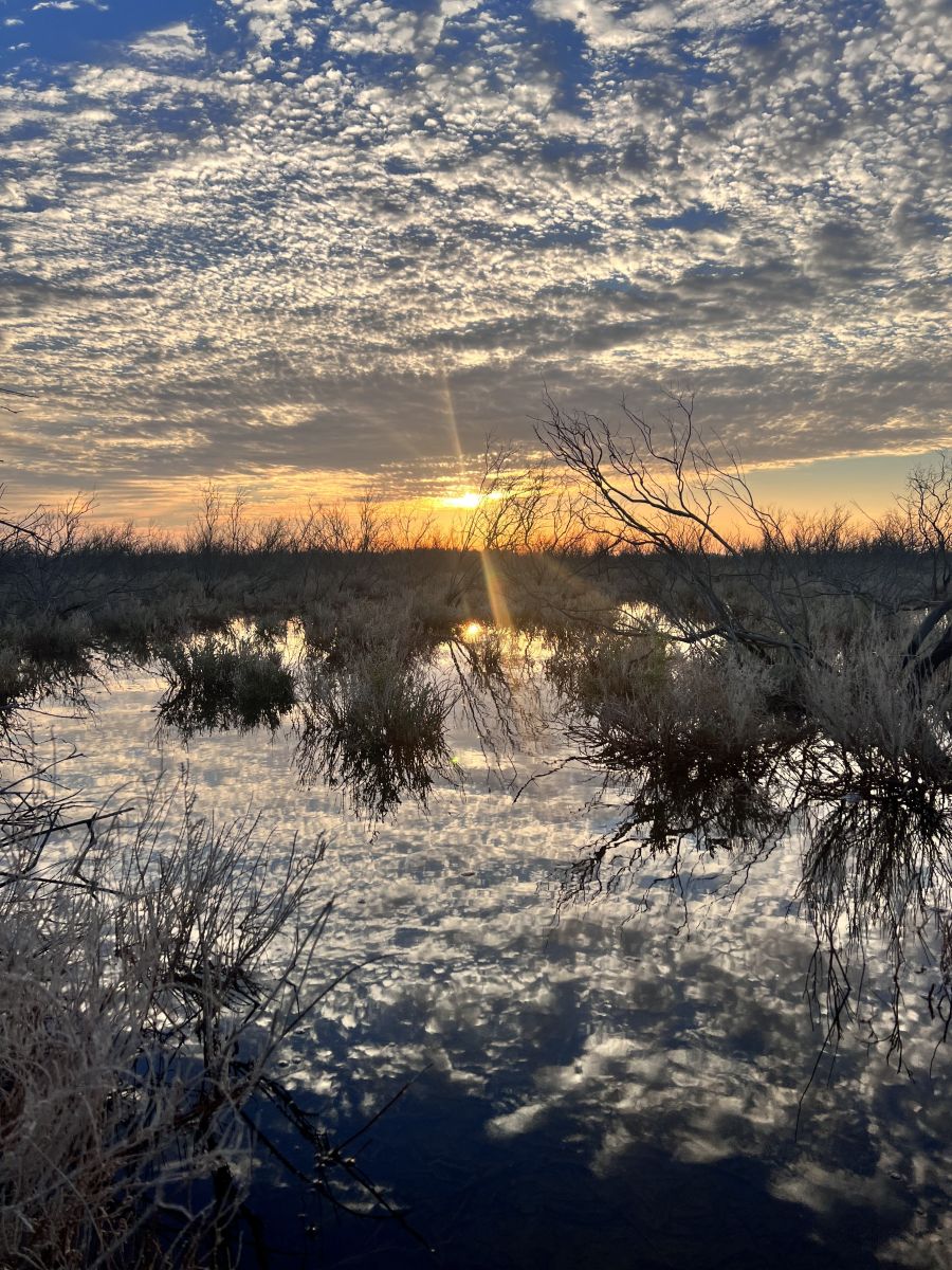Photos météo à Eastern Province. Prévisions météo avec de superbes photos de Mohamed11