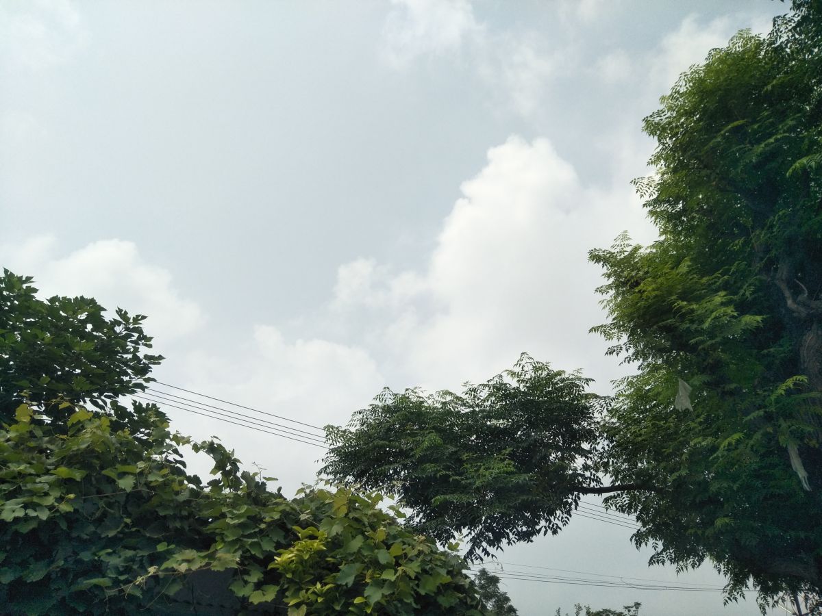 Weather Photos in Punjab. Weather forecasts with beautiful photos by Sardar Pervez Akhtar