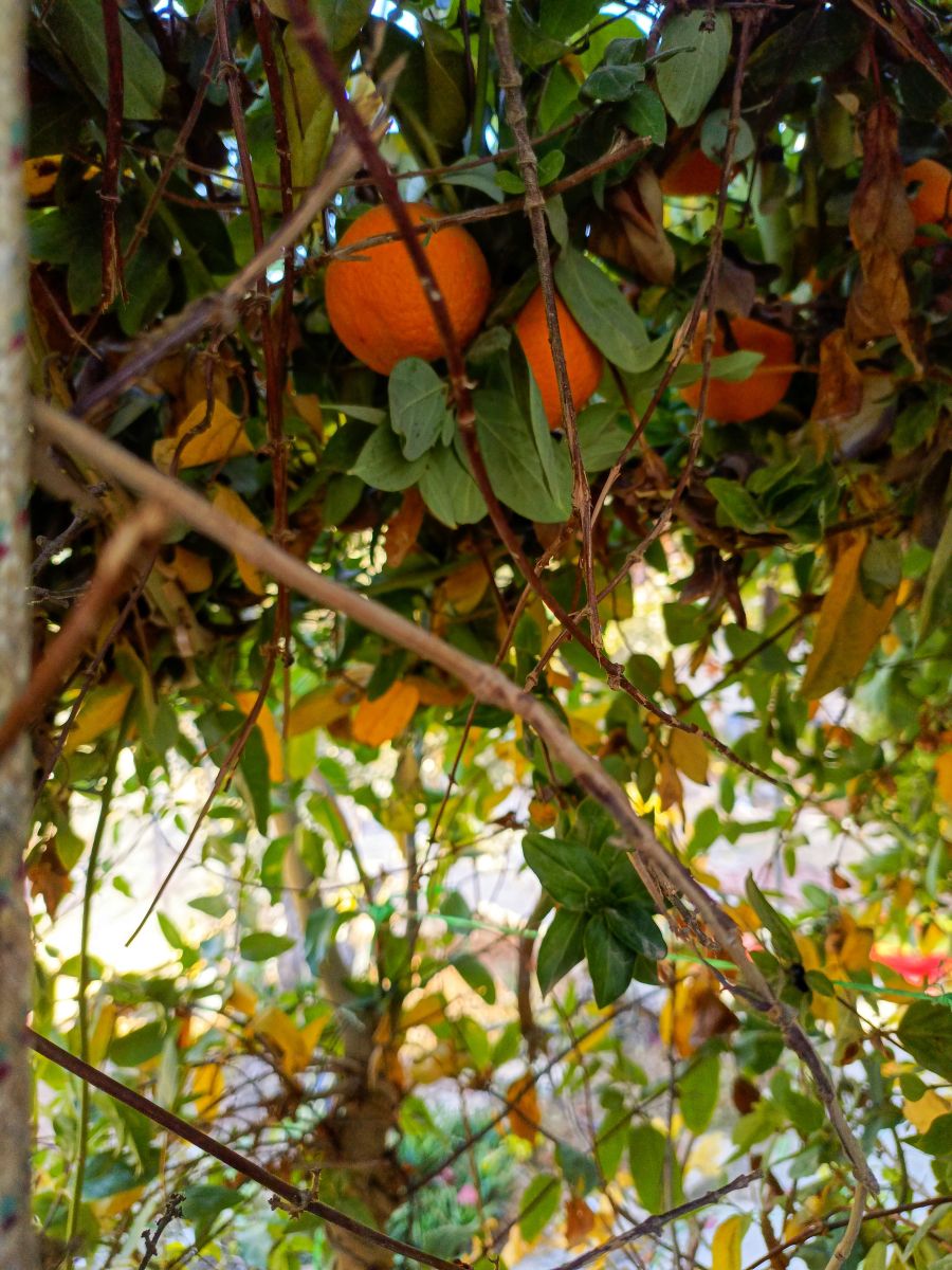 Weather Photos in Jordan. Weather forecasts with beautiful photos by essa1234