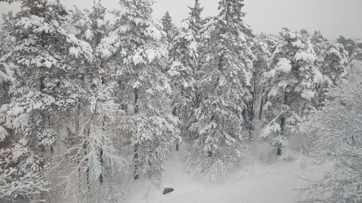 Прогнозы погоды с чудесными фотографиями, сделанными uppsalaunge