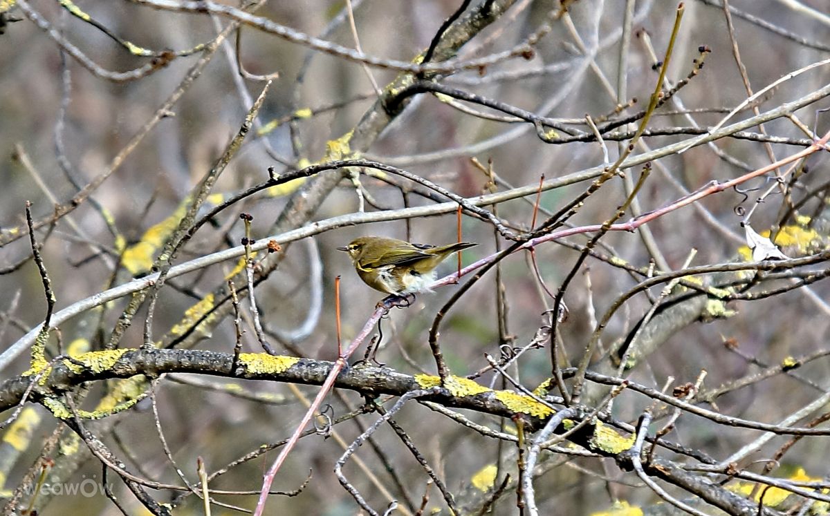 Photographer tony5636, Weather Photos in Calvisson - Weawow