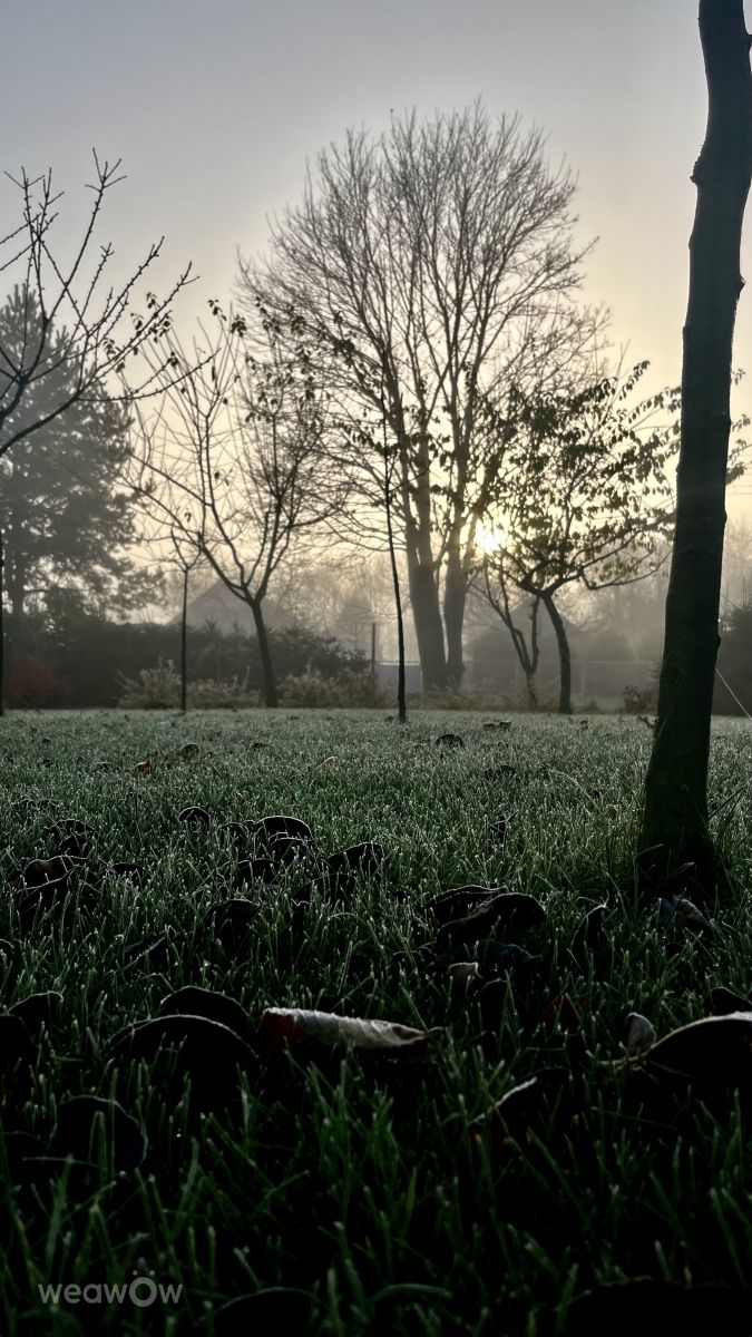 Photos météo à Teshkovo. Prévisions météo avec de superbes photos de Stassy
