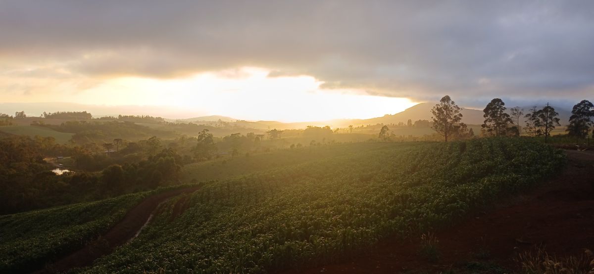 Dự báo thời tiết với những bức ảnh đẹp của gussilva