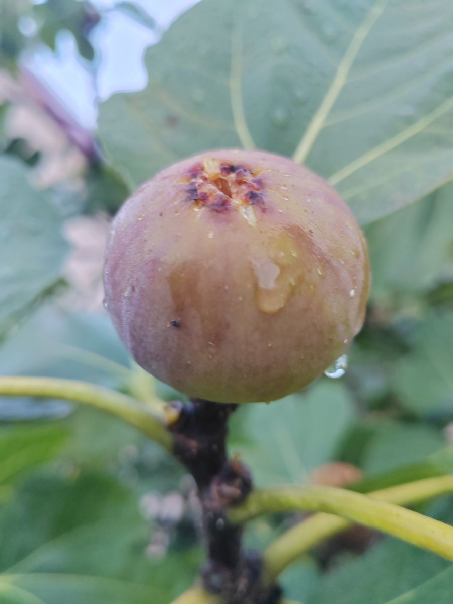 Фотографии Погоды в Сочи. Прогнозы погоды с чудесными фотографиями, сделанными Albert_Smelovtsev