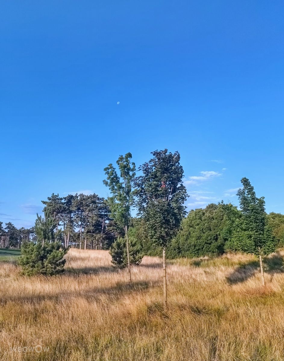 Photographer Kripo, Weather Photos in Oberwaltersdorf - Weawow