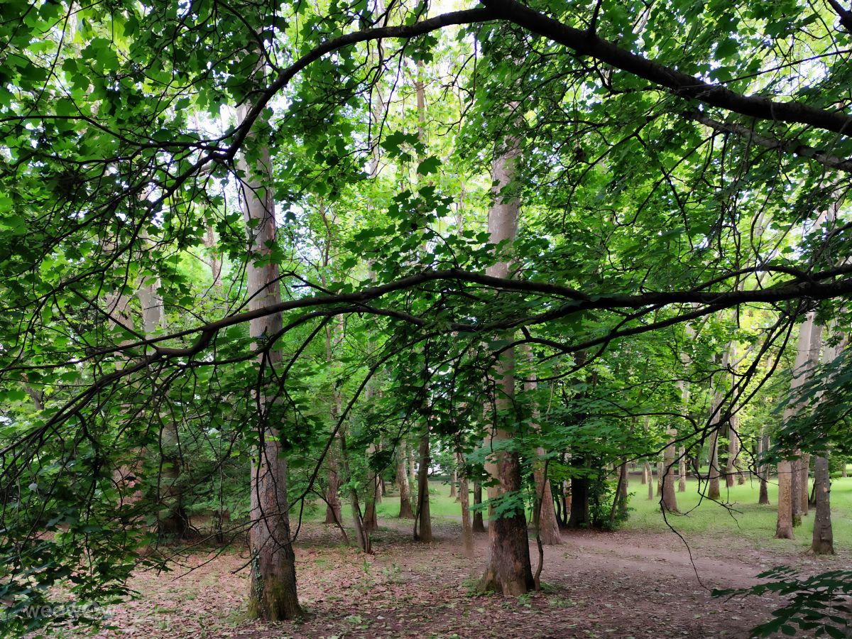Templomkertの天気写真. sloaraiの美しい写真による天気予報