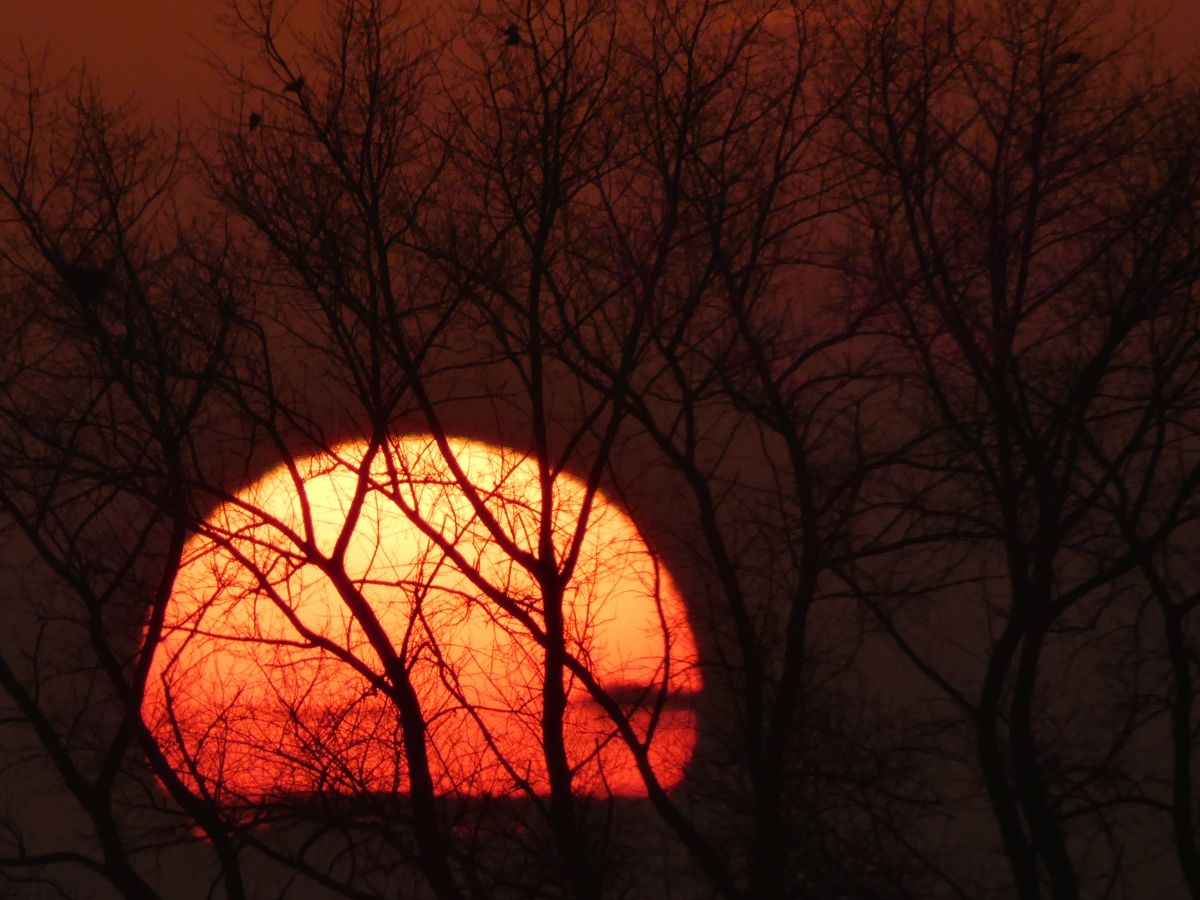 Фотографии Погоды в Dangast. Прогнозы погоды с чудесными фотографиями, сделанными fwerner