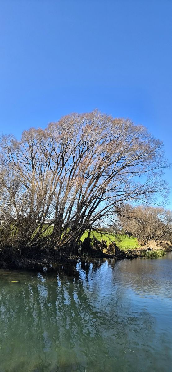 Weather Photos in New Zealand. Weather forecasts with beautiful photos by Barnett-28