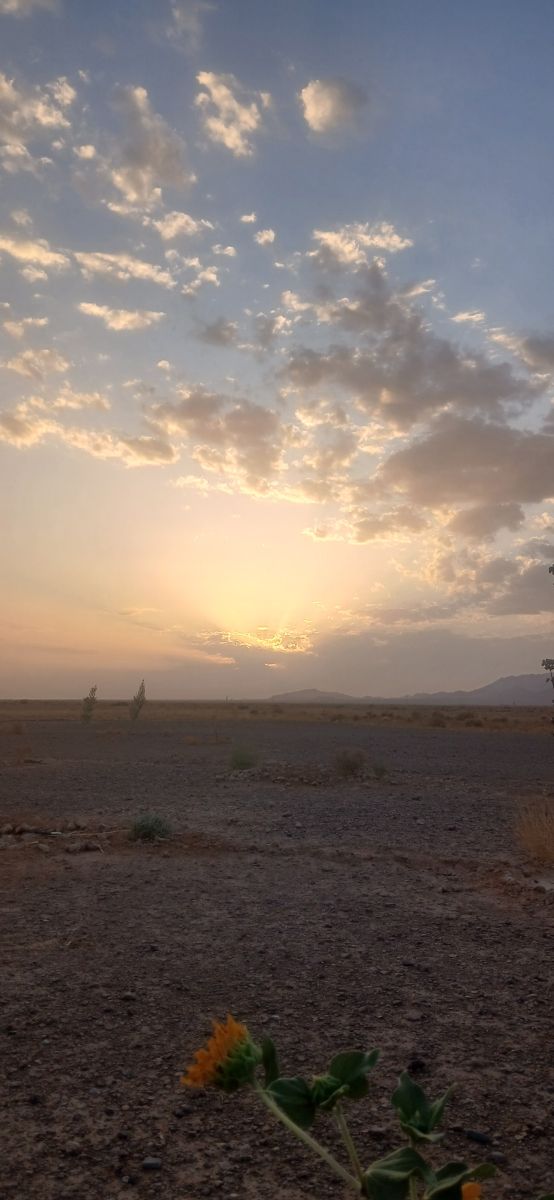 Photos météo à Béchar. Prévisions météo avec de superbes photos de BELGHOUL-KADDA