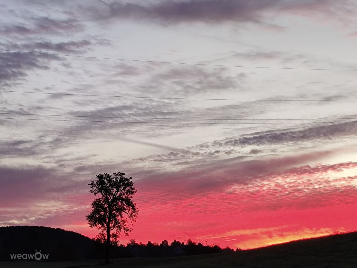 Weather Photos in Allersberg. Weather forecasts with beautiful photos by Brtd