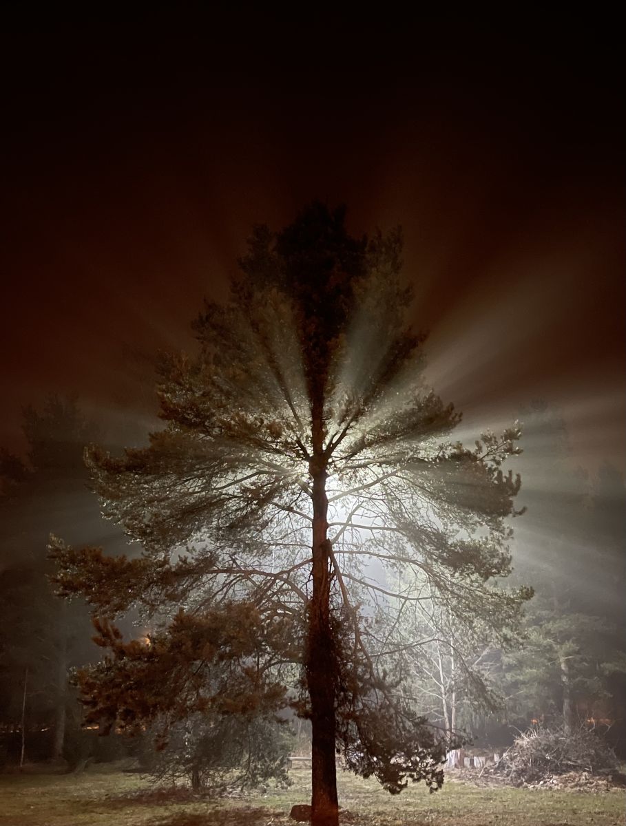 Fotos sobre el clima en Kohtla-Järve. Pronósticos del tiempo con hermosas fotos de Dmitry8