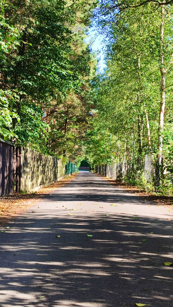 Fotos sobre el clima en Województwo Łódzkie. Pronósticos del tiempo con hermosas fotos de Romek58