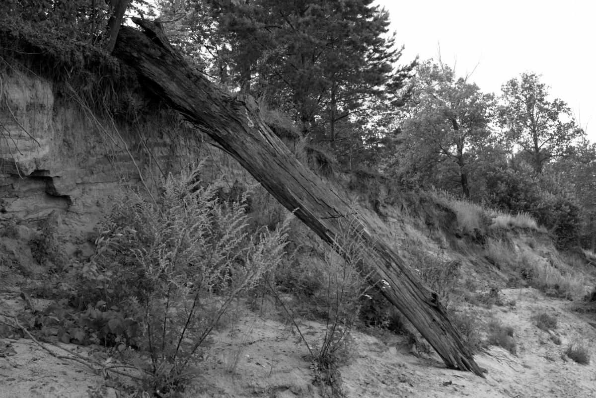 Фотографии Погоды в Нижегородская Область. Прогнозы погоды с чудесными фотографиями, сделанными Дмитрий_