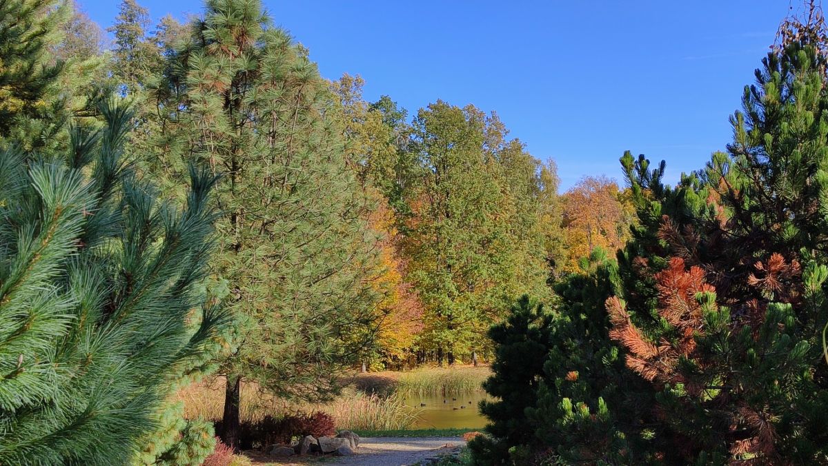 Photographer Romek58, Weather Photos in Wieluń - Weawow