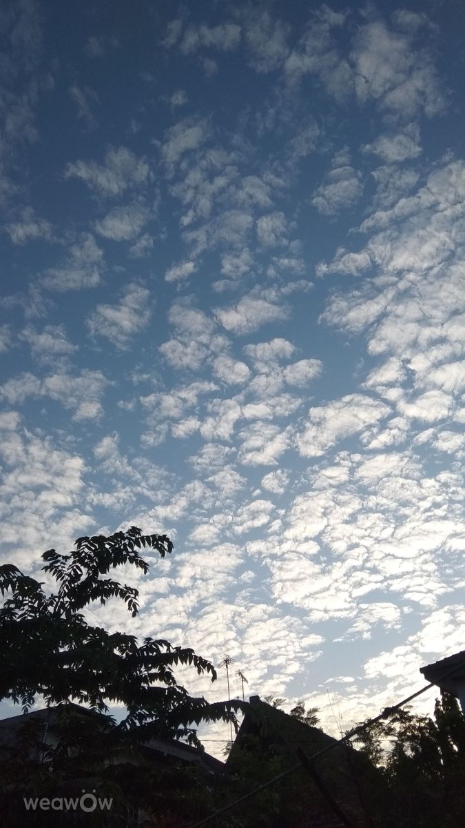 Weather Photos in Lamongan. Weather forecasts with beautiful photos by Angga Zulqarnain
