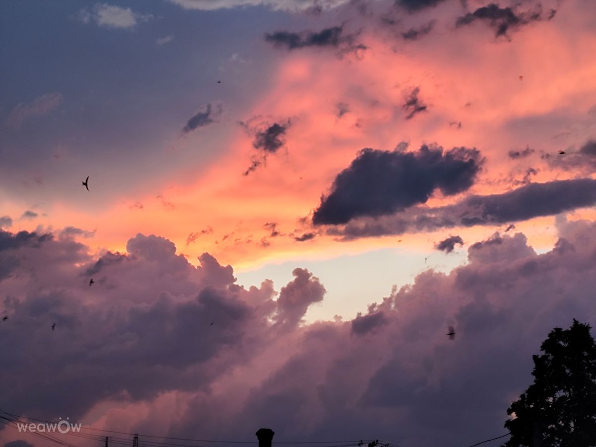 Фотографии Погоды в Самар. Прогнозы погоды с чудесными фотографиями, сделанными Vira_rk