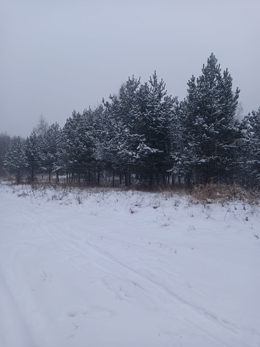 Photographer Amanda_and_Valdemar_Che, Weather Photos in Izmaylovo District - Weawow