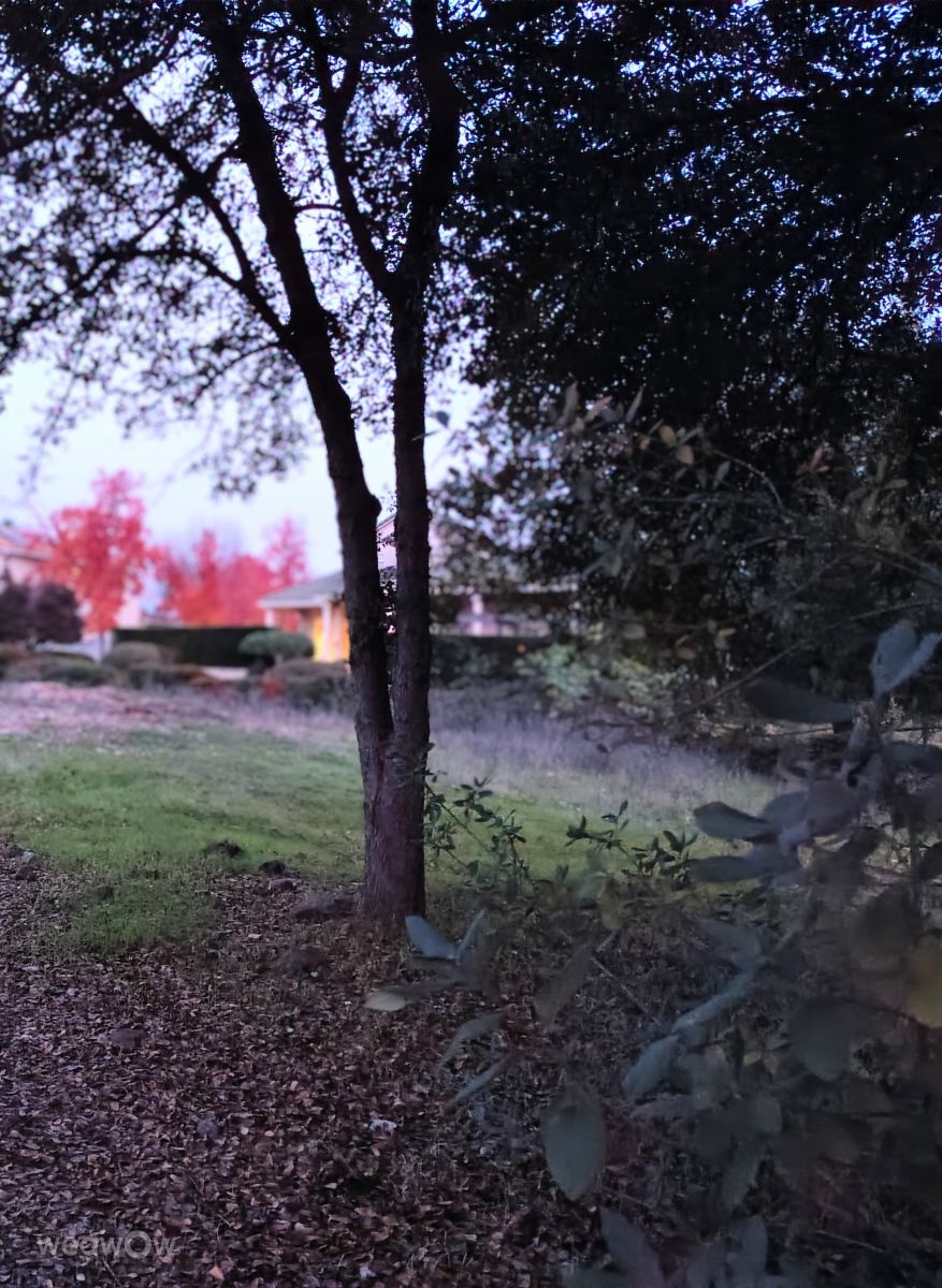 奇科的天气照片. 天气预报，带Ghostroku精美的照片