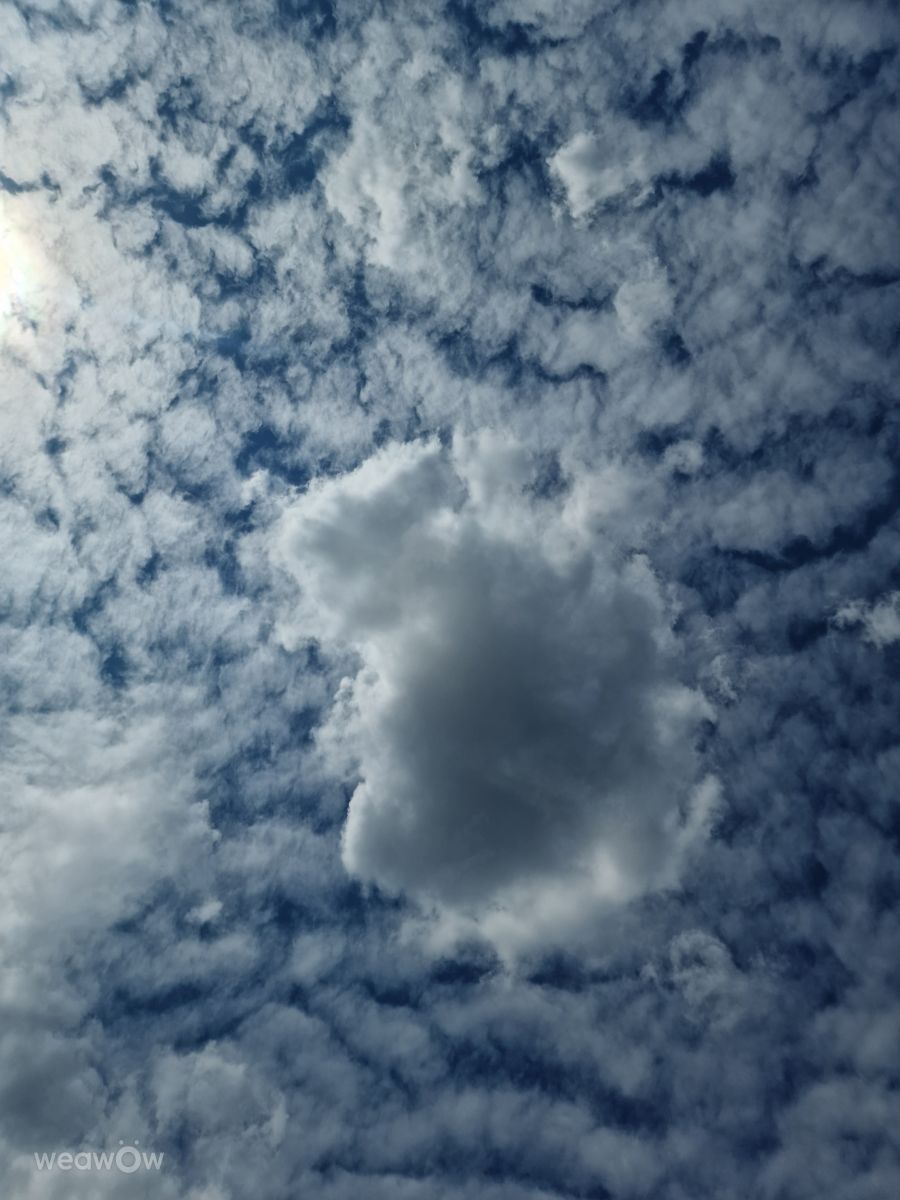 Fotos sobre el clima en Osinów Dolny. Pronósticos del tiempo con hermosas fotos de Sparass