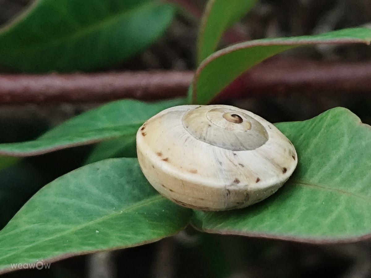 Фотограф Brtd, Фотографии Погоды в Карвоейро - Weawow