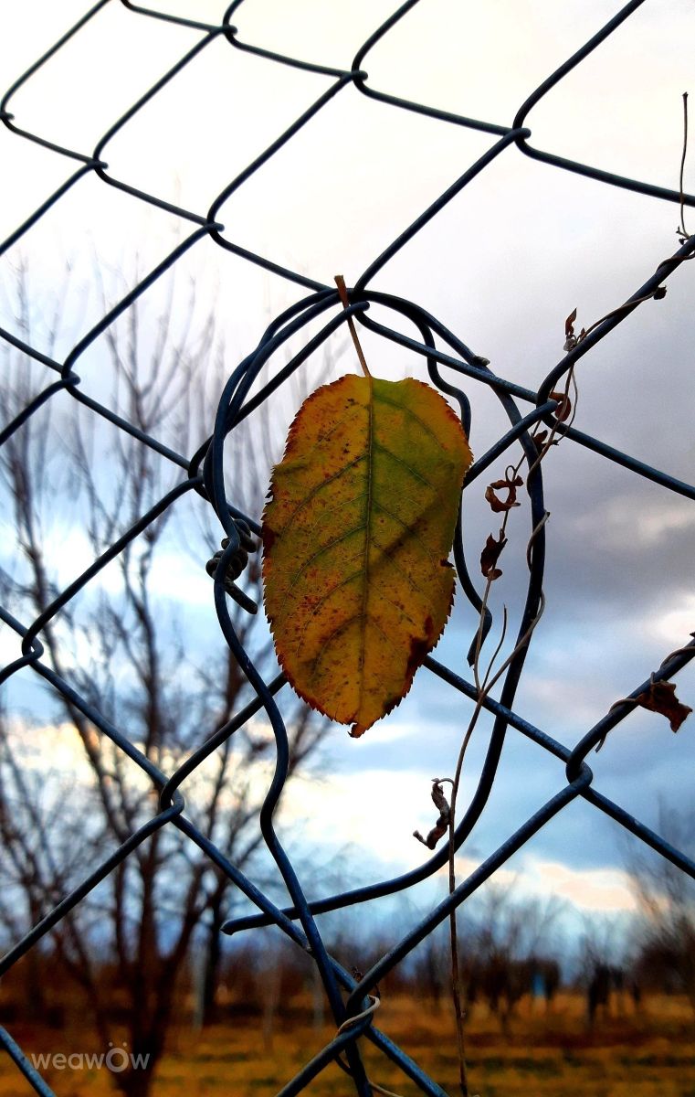 Weather Photos in Nahavand. Weather forecasts with beautiful photos by Da1363