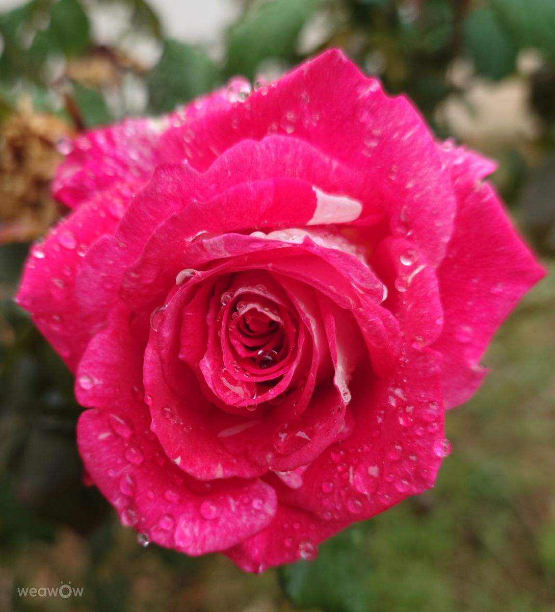 Weather forecasts with beautiful photos by Rez_leyla