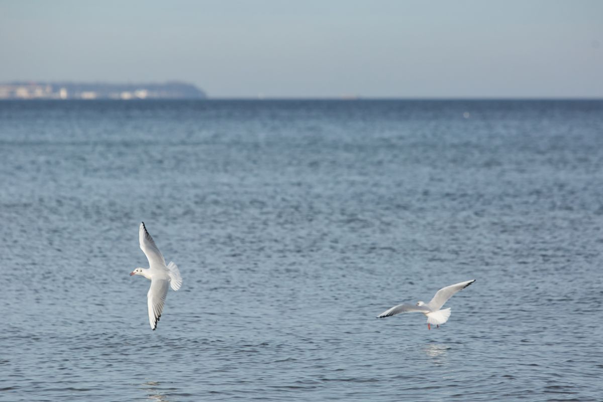 グダニスクの天気写真. martinm611の美しい写真による天気予報