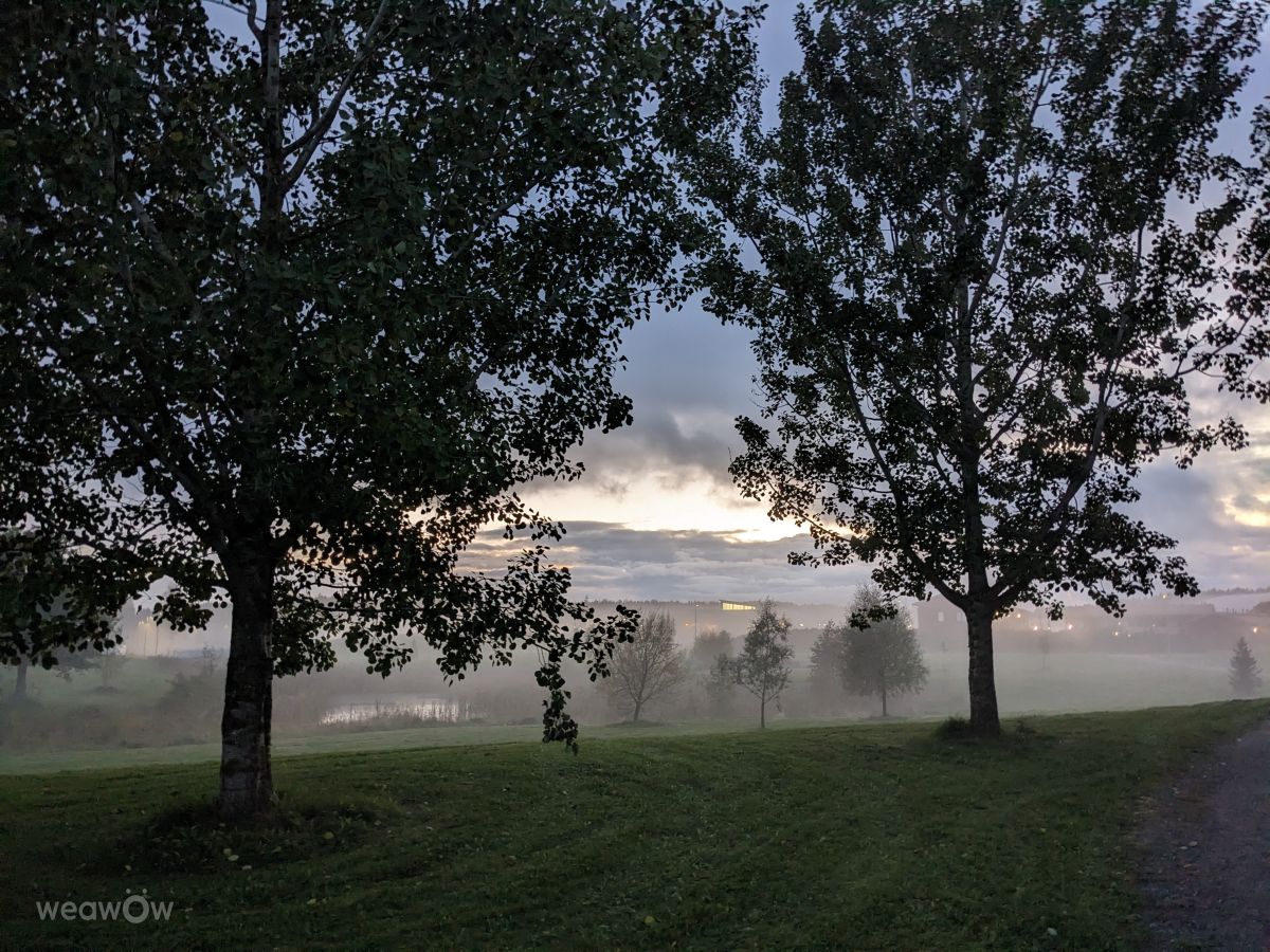 Prévisions météo avec de superbes photos de Mangustium
