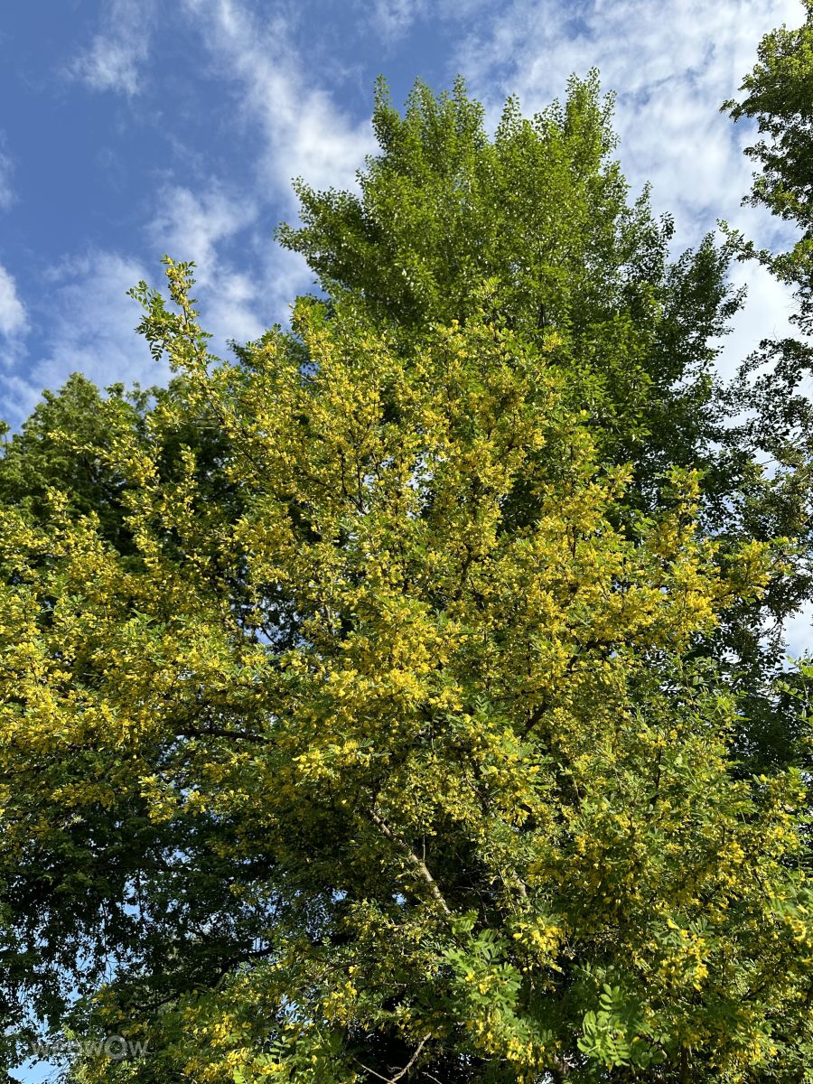 Weather Photos in Izmaylovo. Weather forecasts with beautiful photos by Ritha