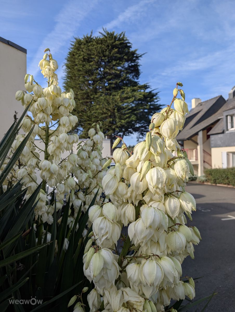 Photos météo à France. Prévisions météo avec de superbes photos de Joseph Vincent