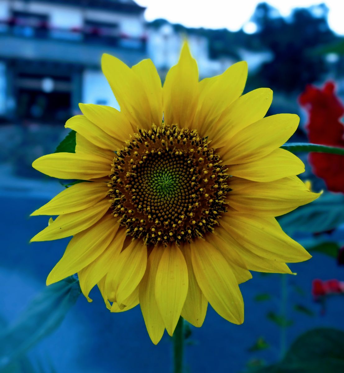 Weather Photos in Grenada. Weather forecasts with beautiful photos by Paracelso