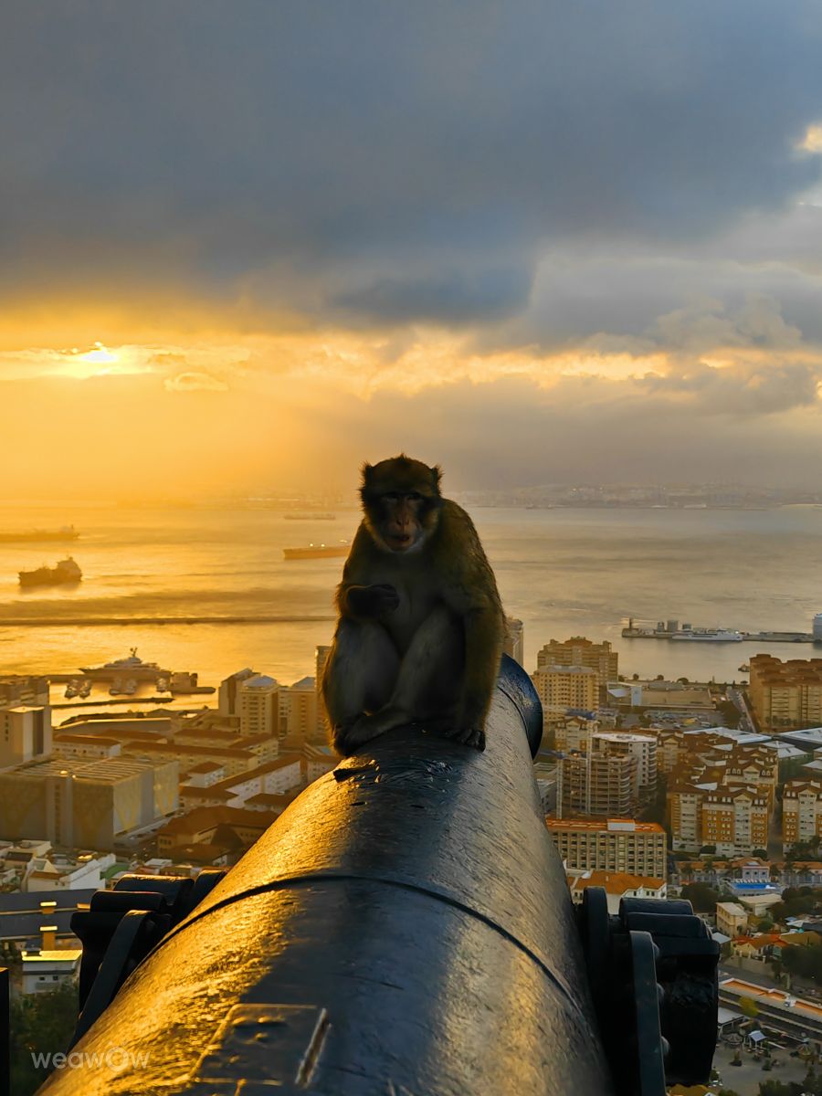 Weather forecasts with beautiful photos by JOSIP986