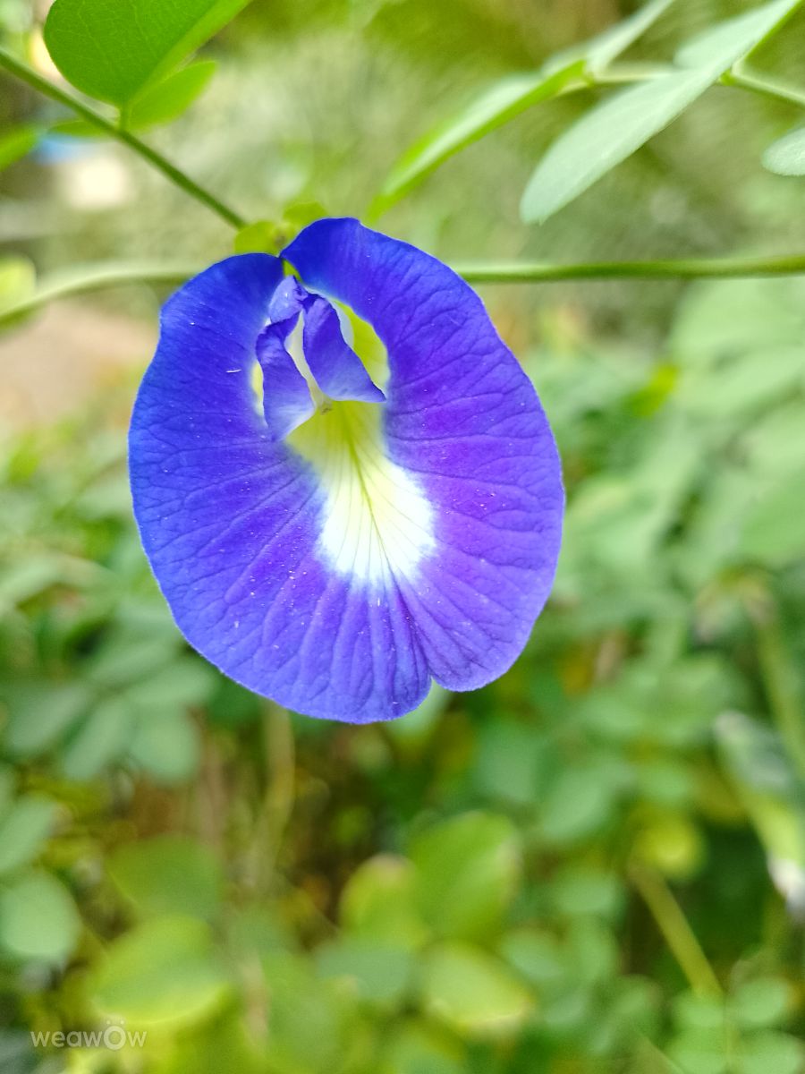 Weather Photos in Delhi. Weather forecasts with beautiful photos by Fotokhan