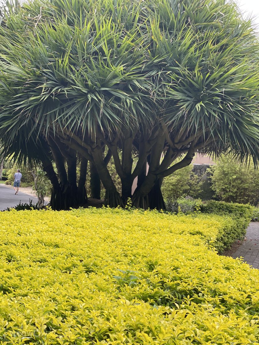 Weather Photos in Mauritius. Weather forecasts with beautiful photos by Margarita_Karalene