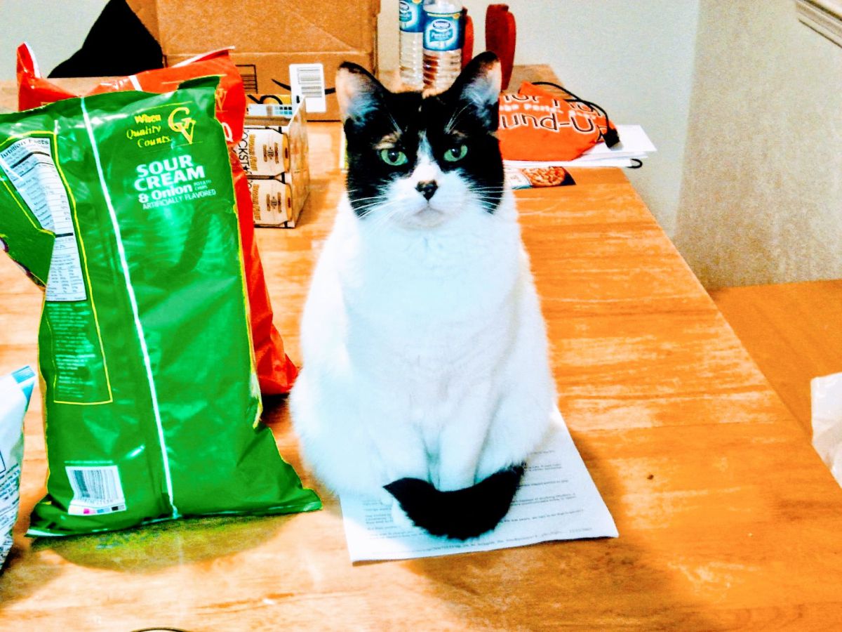 摄影师 Cajungrl26，LaPlace的天气照片 - Weawow