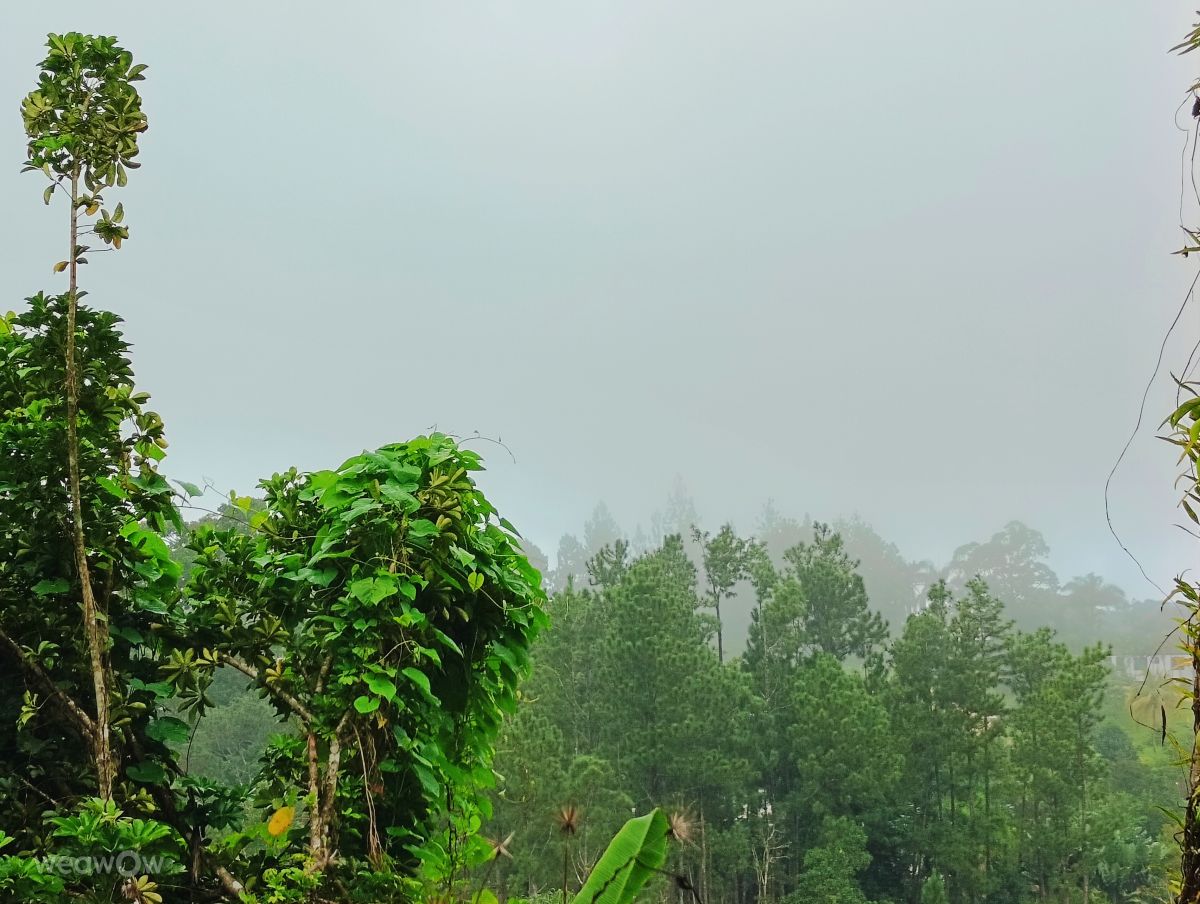 Weather Photos in Puerto Rico. Weather forecasts with beautiful photos by lcruz23