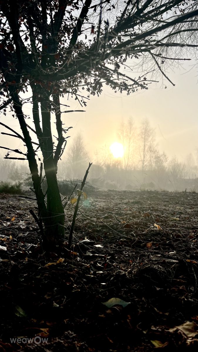 Photographer Stassy, Weather Photos in Teshkovo - Weawow