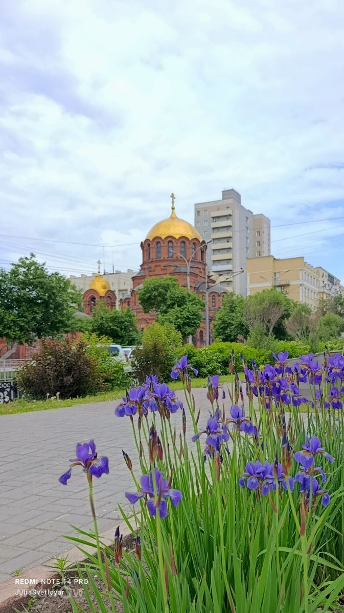 Novosibirskaya Oblast'的天气照片. 天气预报，带ЮЛия_Светлояр精美的照片