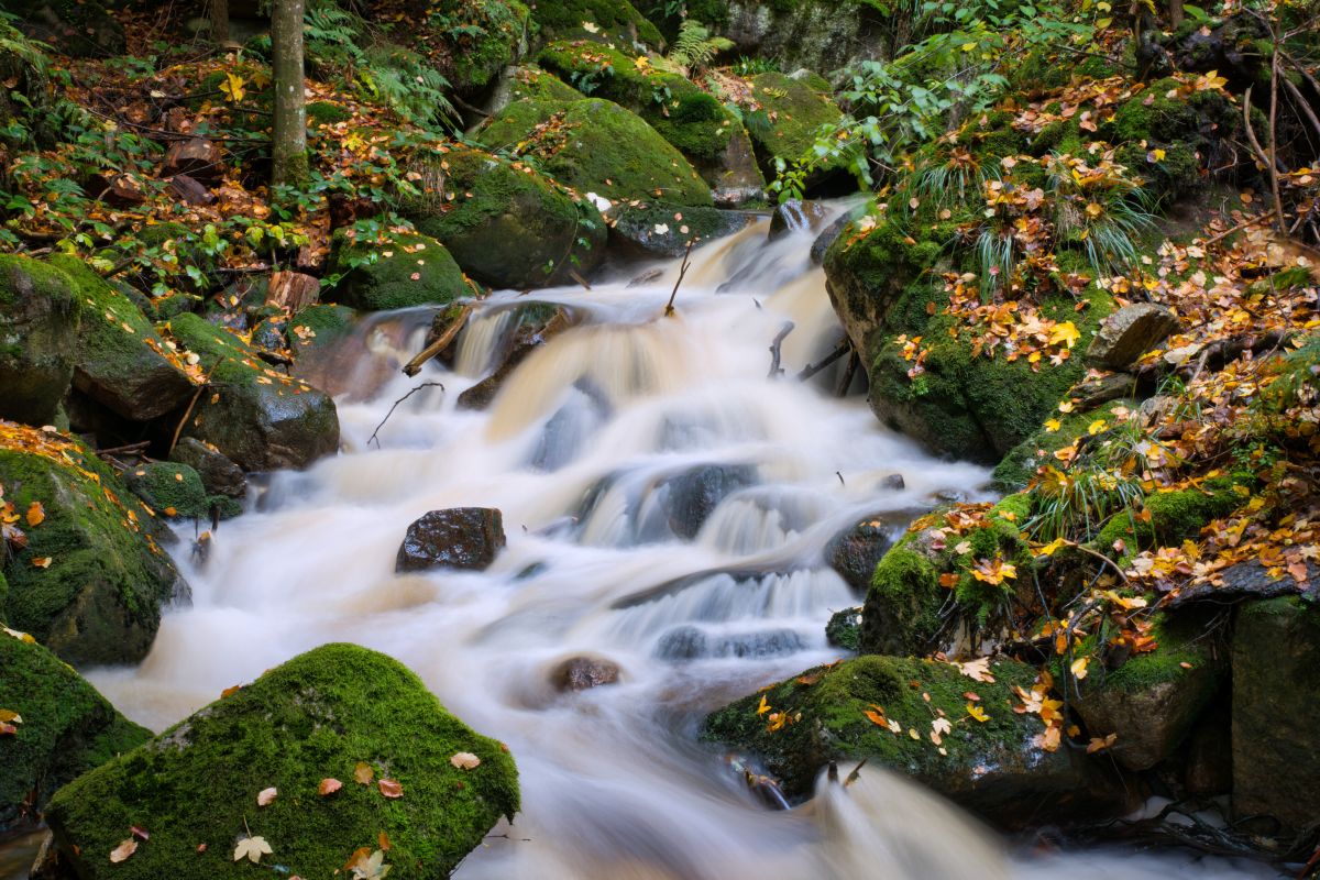 Harz ದ River. Dorfkind ಅವರ ಸುಂದರವಾದ ಫೋಟೋಗಳೊಂದಿಗೆ ಹವಾಮಾನ ಮುನ್ಸೂಚನೆಗಳು ಫೋಟೋಗಳು