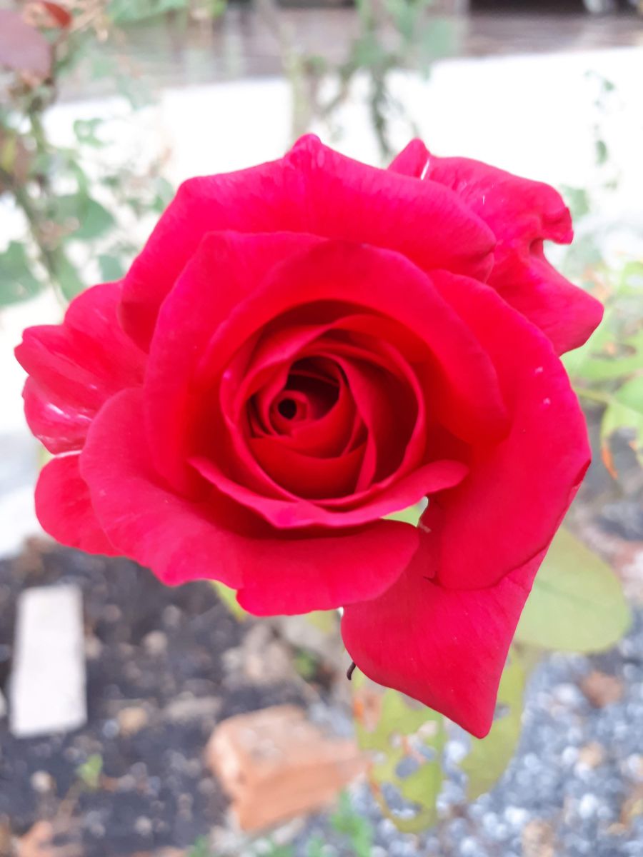 Fotos do tempo em Udon Thani. Previsões do tempo com lindas fotos de KITTIPONG554005